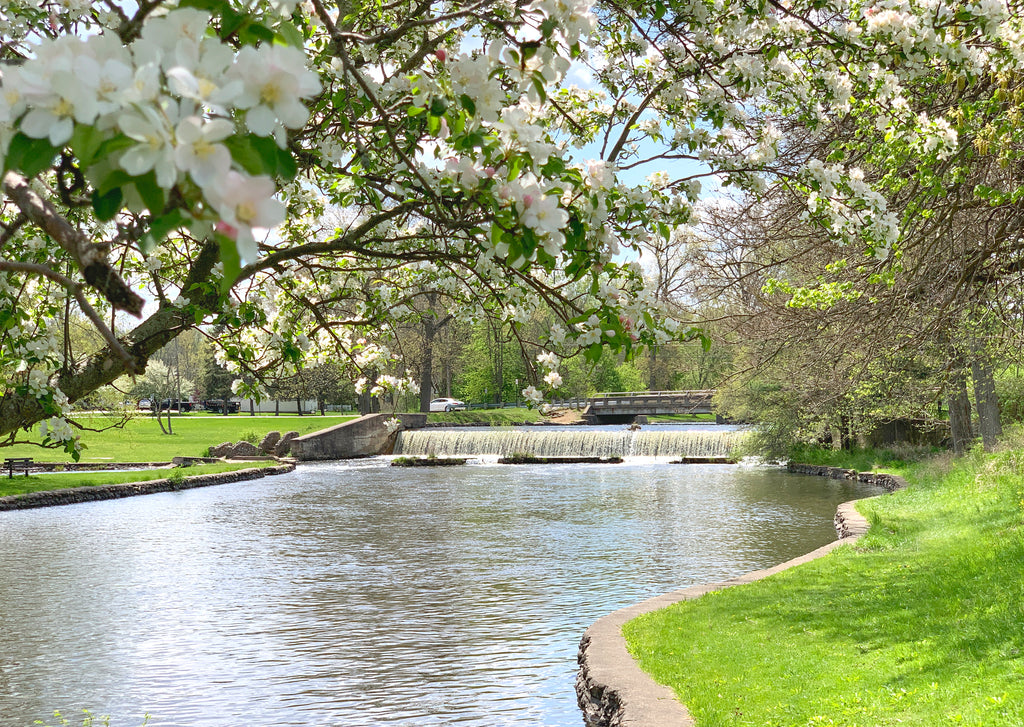 Embrace the Magic of Spring: Exploring Albion's Charm