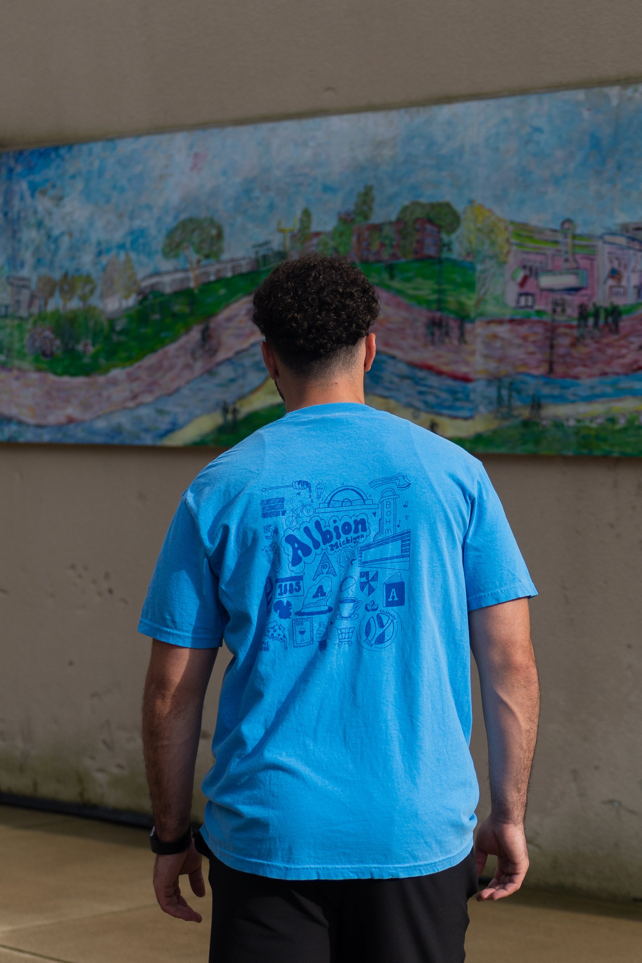 Albion, Michigan Doodle T-shirt
