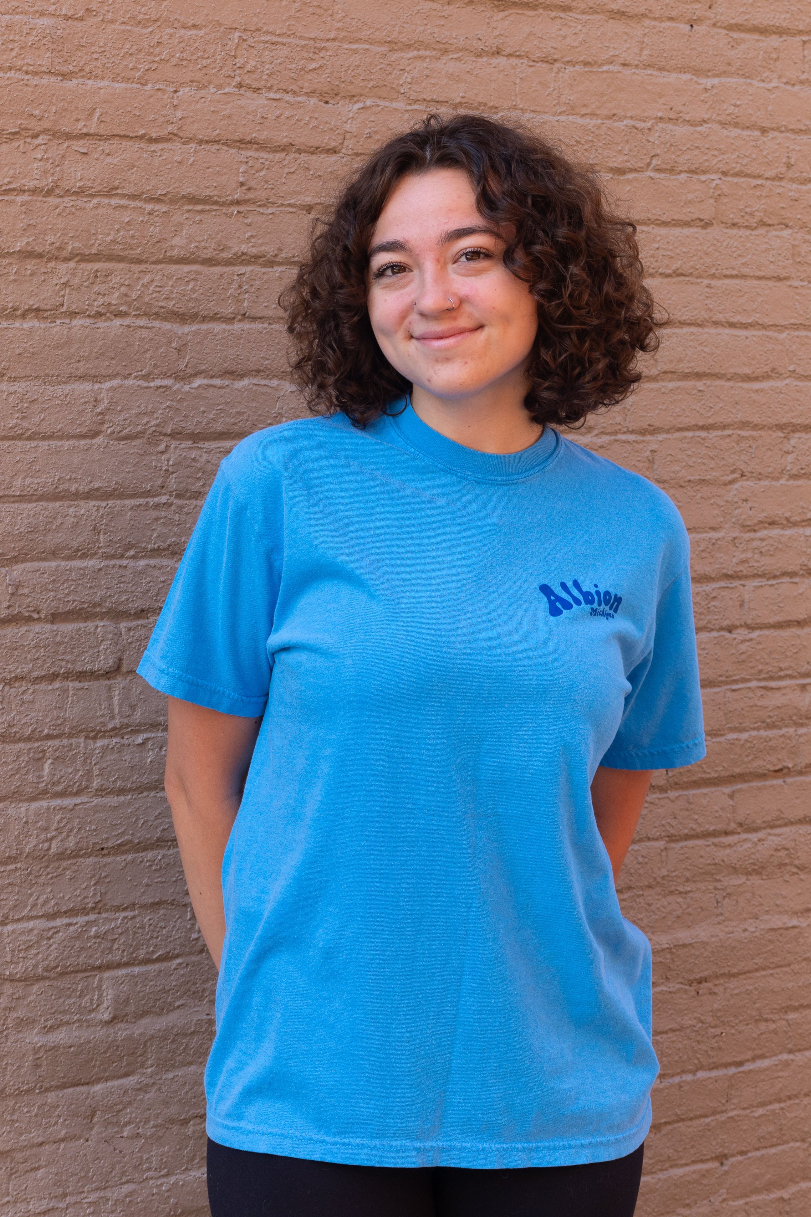 Albion, Michigan Doodle T-shirt