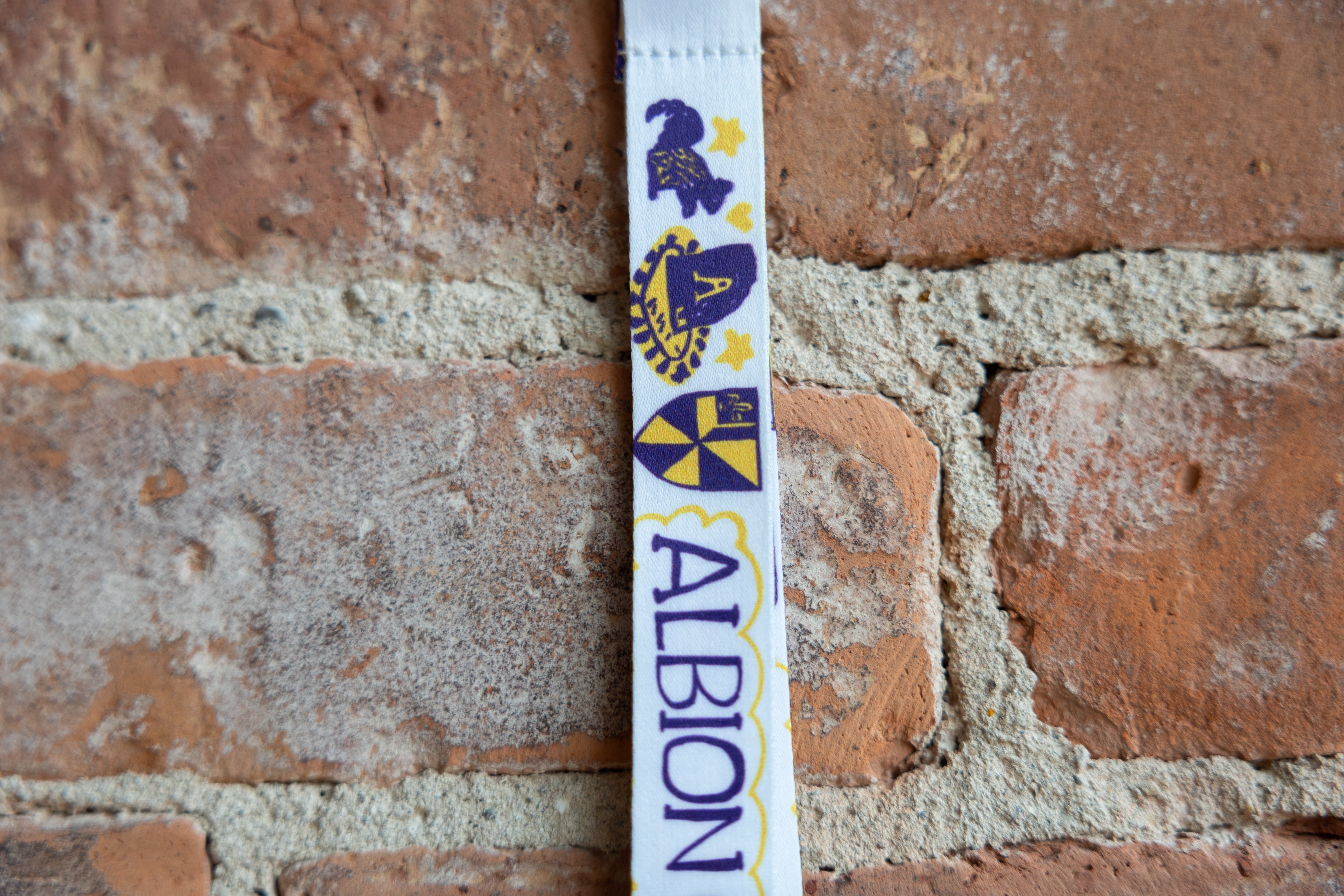 Albion College Lanyard by Julia Gash