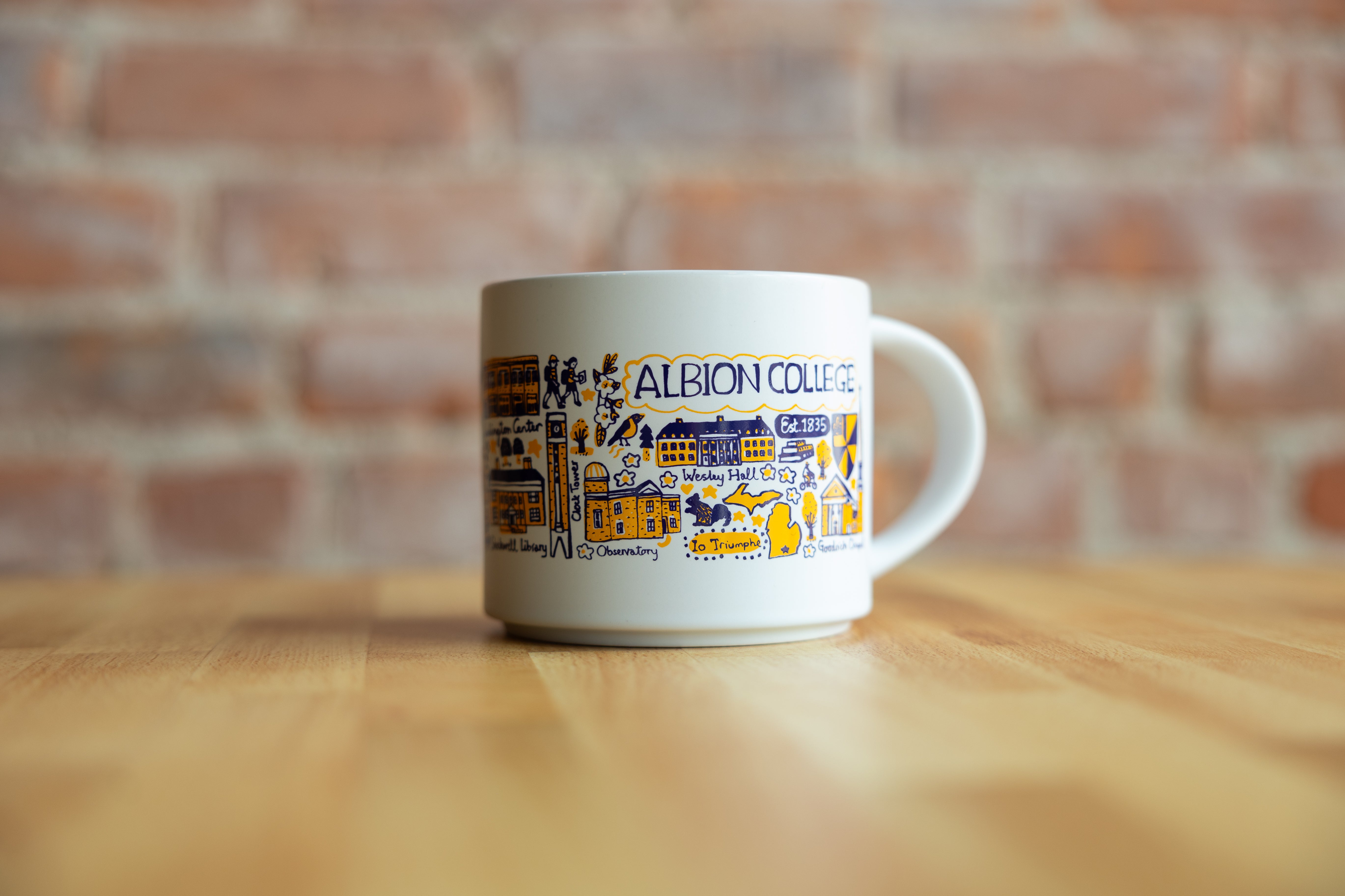 Albion College Mug by Julia Gash
