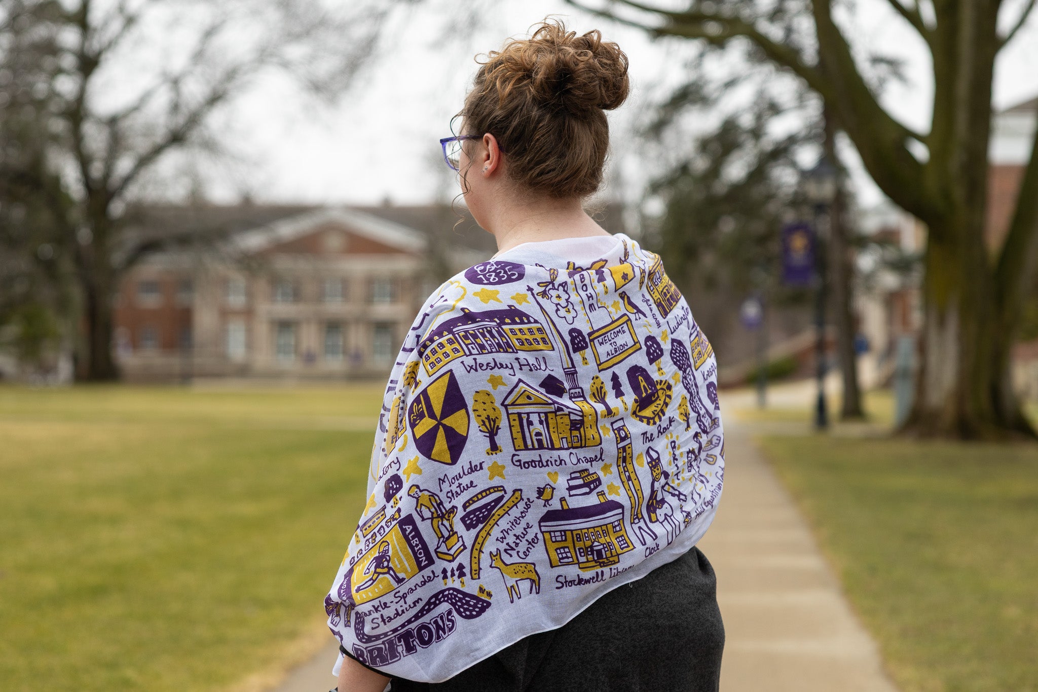 Albion College Scarf by Julia Gash