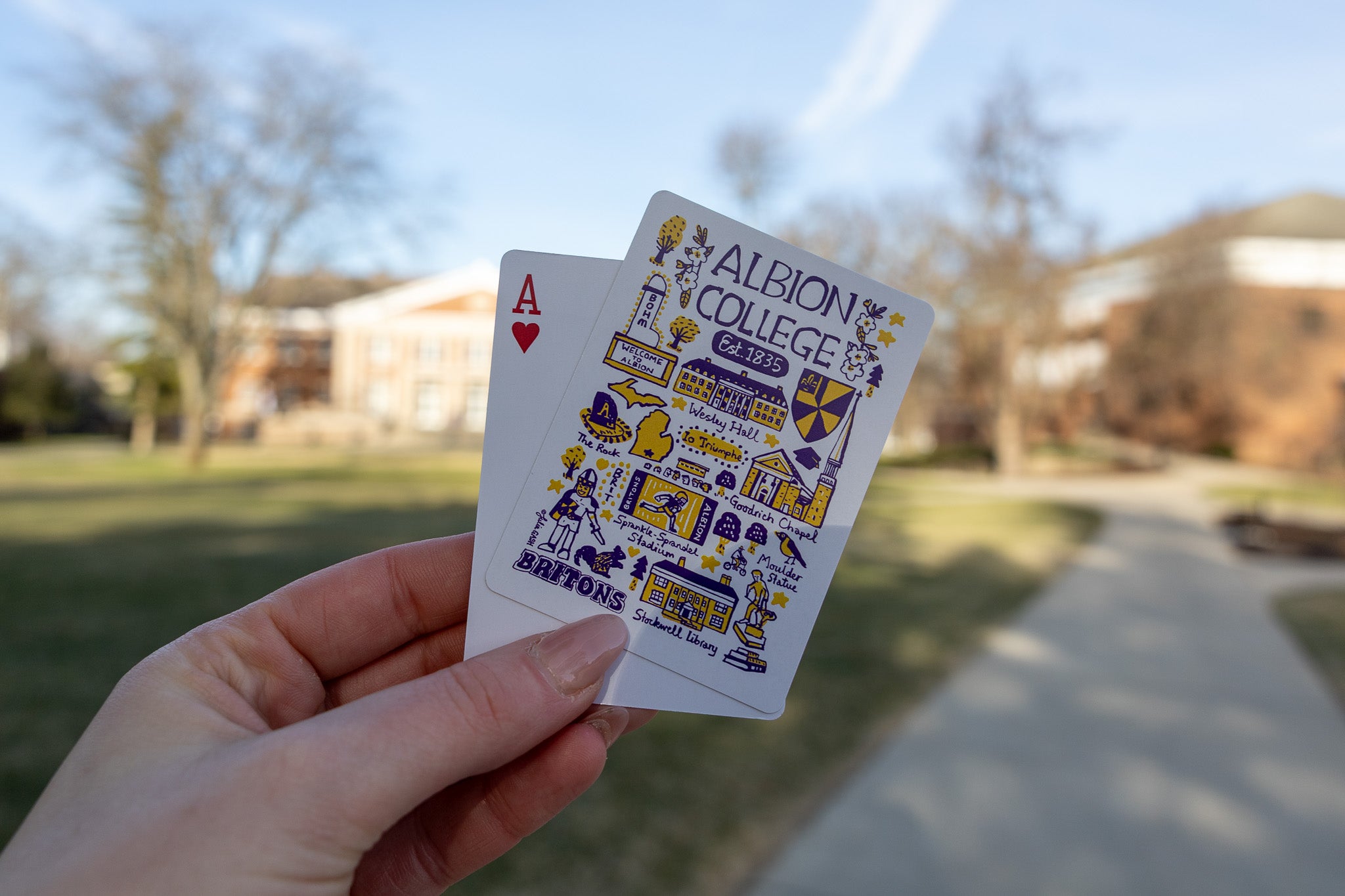 Albion College Playing Cards by Julia Gash