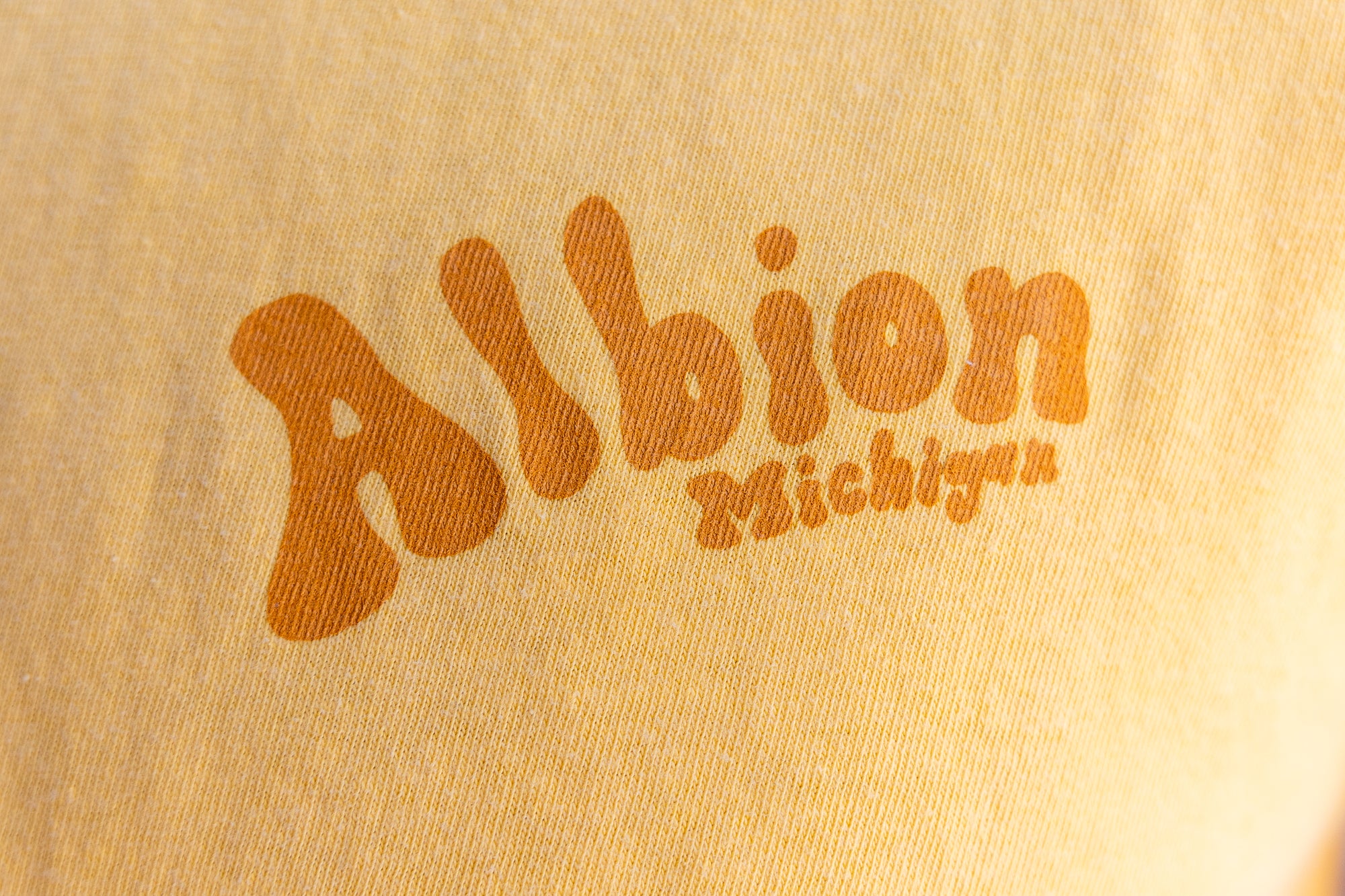Albion, Michigan Doodle T-shirt