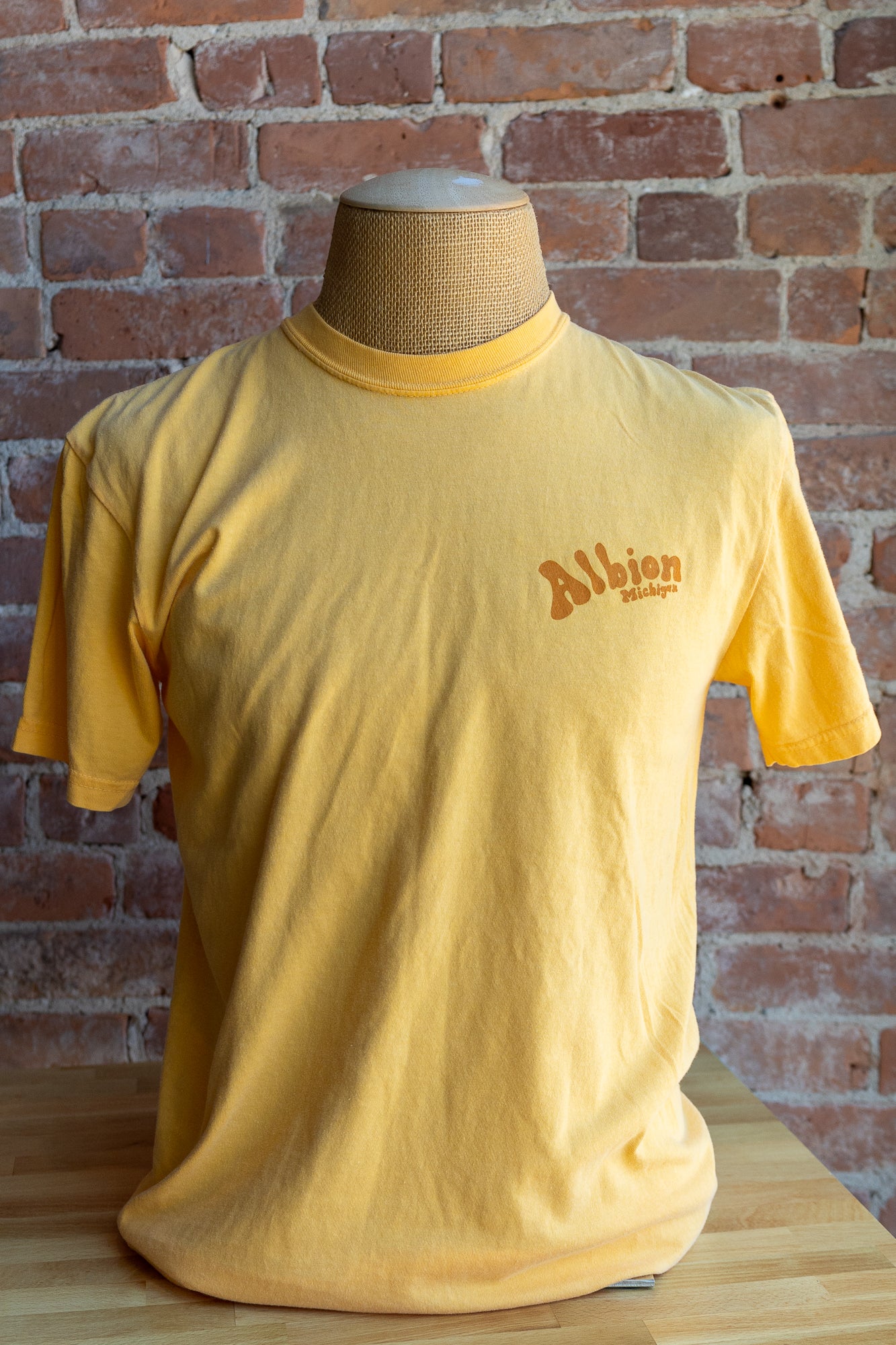 Albion, Michigan Doodle T-shirt