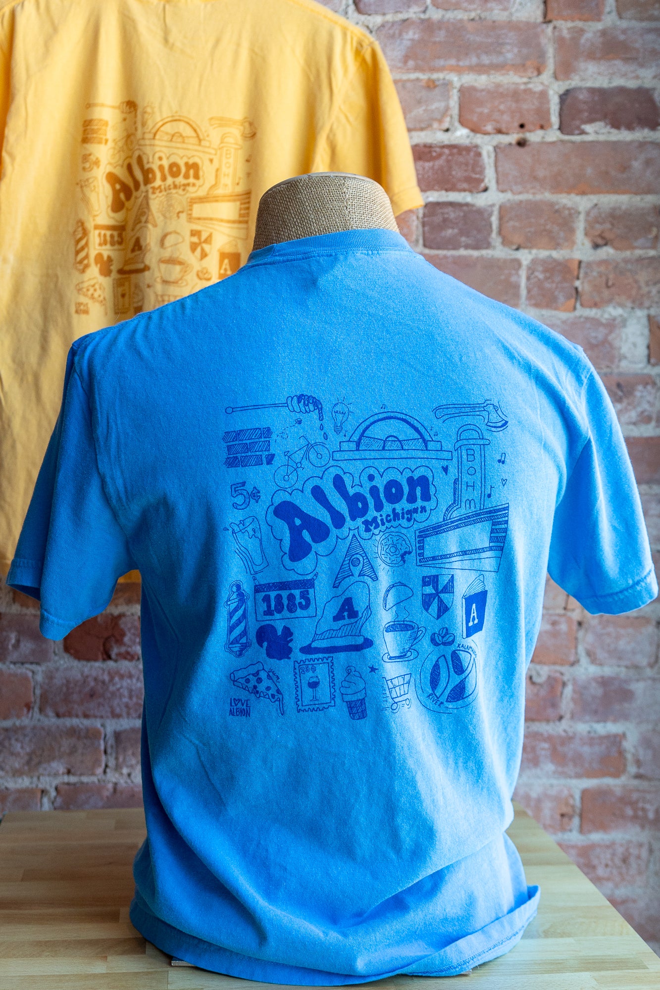 Albion, Michigan Doodle T-shirt
