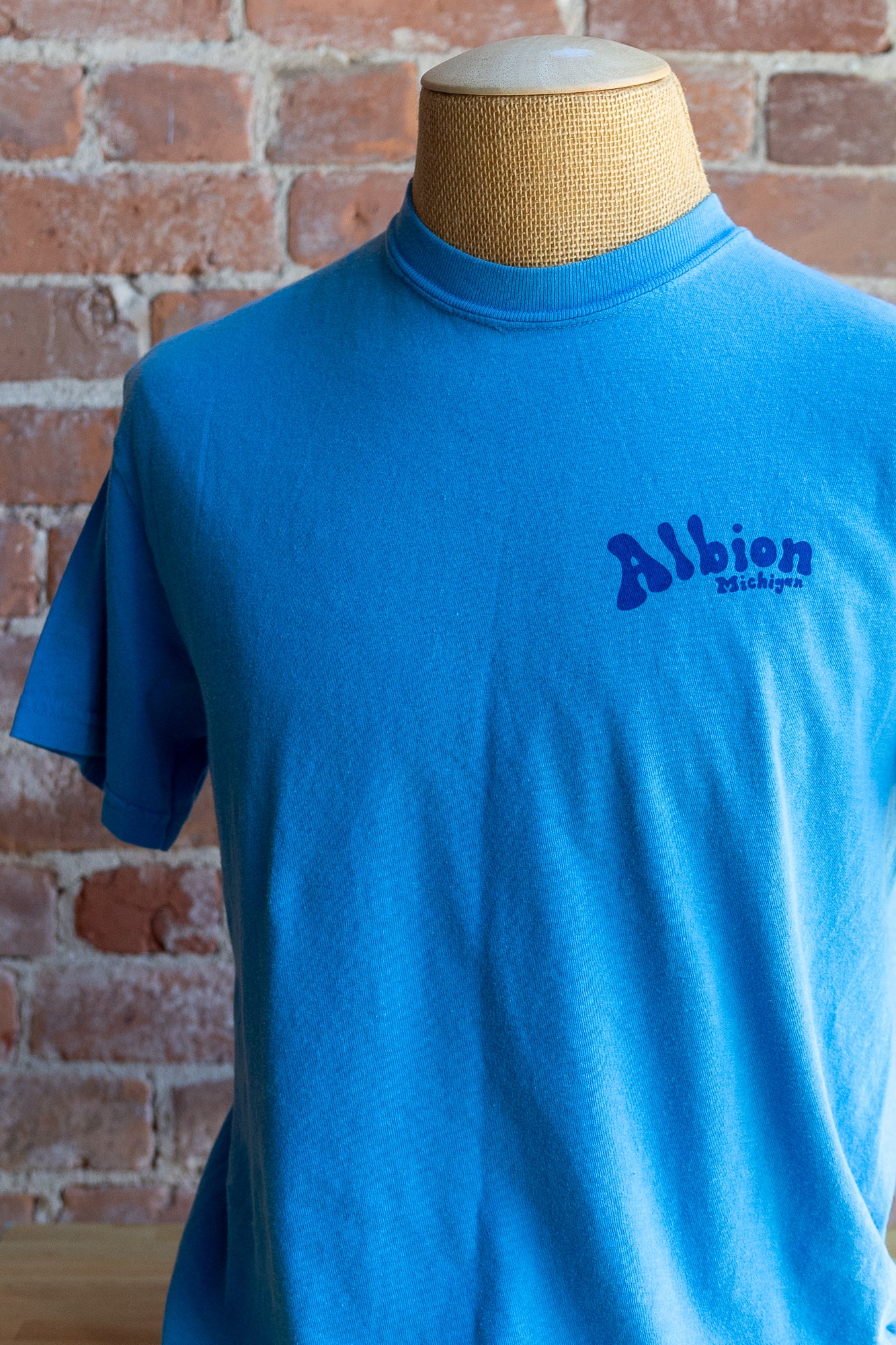 Albion, Michigan Doodle T-shirt