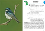 Birds of Michigan Field Guide