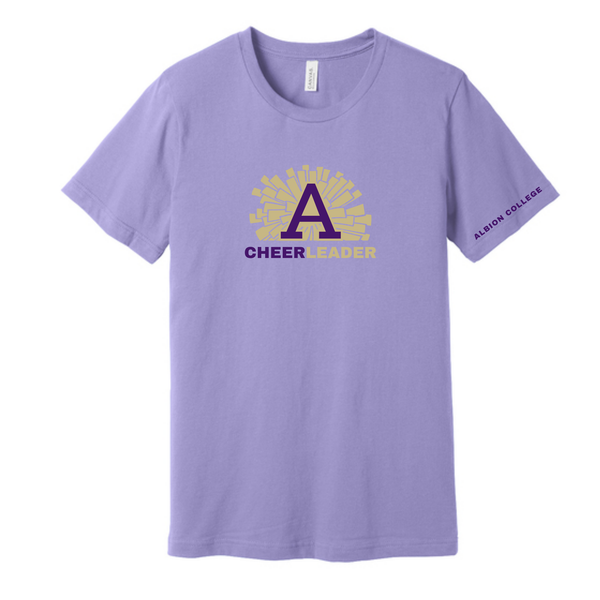 Albion College Cheer Team