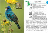 Birds of Michigan Field Guide