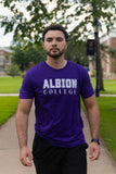 Classic Albion College Purple T-Shirt