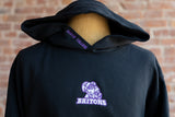 Albion College Briton Embroidered Heavyweight Hoodie