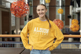 Albion College Beach Wash Crewneck