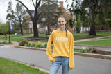 Albion College Beach Wash Crewneck