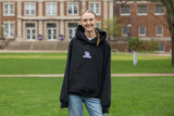 Albion College Briton Embroidered Heavyweight Hoodie