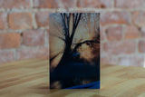 Albion Photo Postcard by Jamelah Vincent