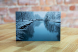 Albion Photo Postcard by Jamelah Vincent