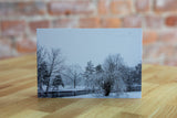 Albion Photo Postcard by Jamelah Vincent