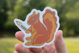 S'more Albion Squirrel Sticker