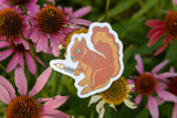 S'more Albion Squirrel Sticker