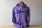 Albion College Pennant Hoodie