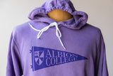 Albion College Pennant Hoodie