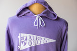 Albion College Pennant Hoodie