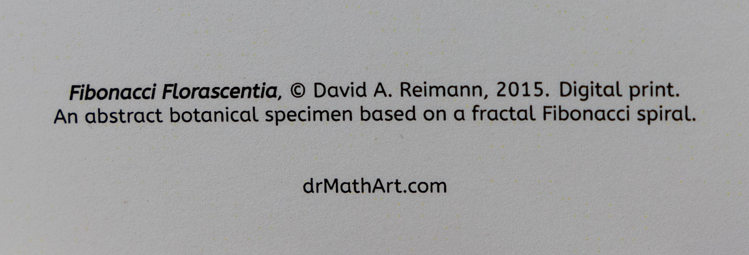David Reimann - Notecards