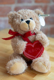 Love Albion Teddy Bear