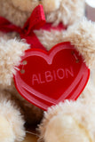 Love Albion Teddy Bear