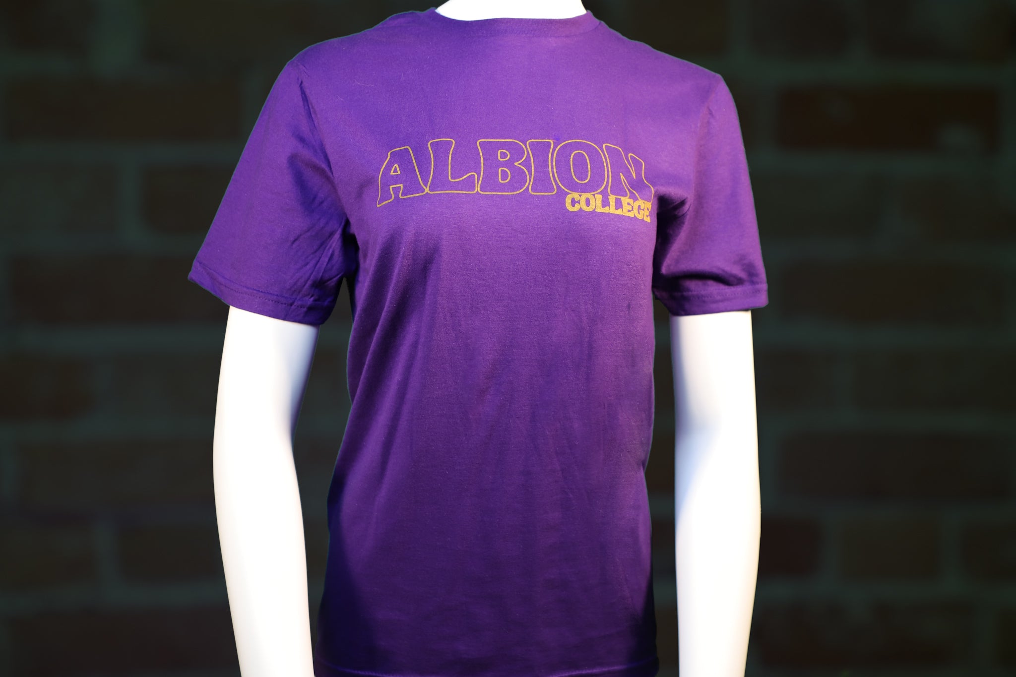 Purple Retro Albion College T-Shirt
