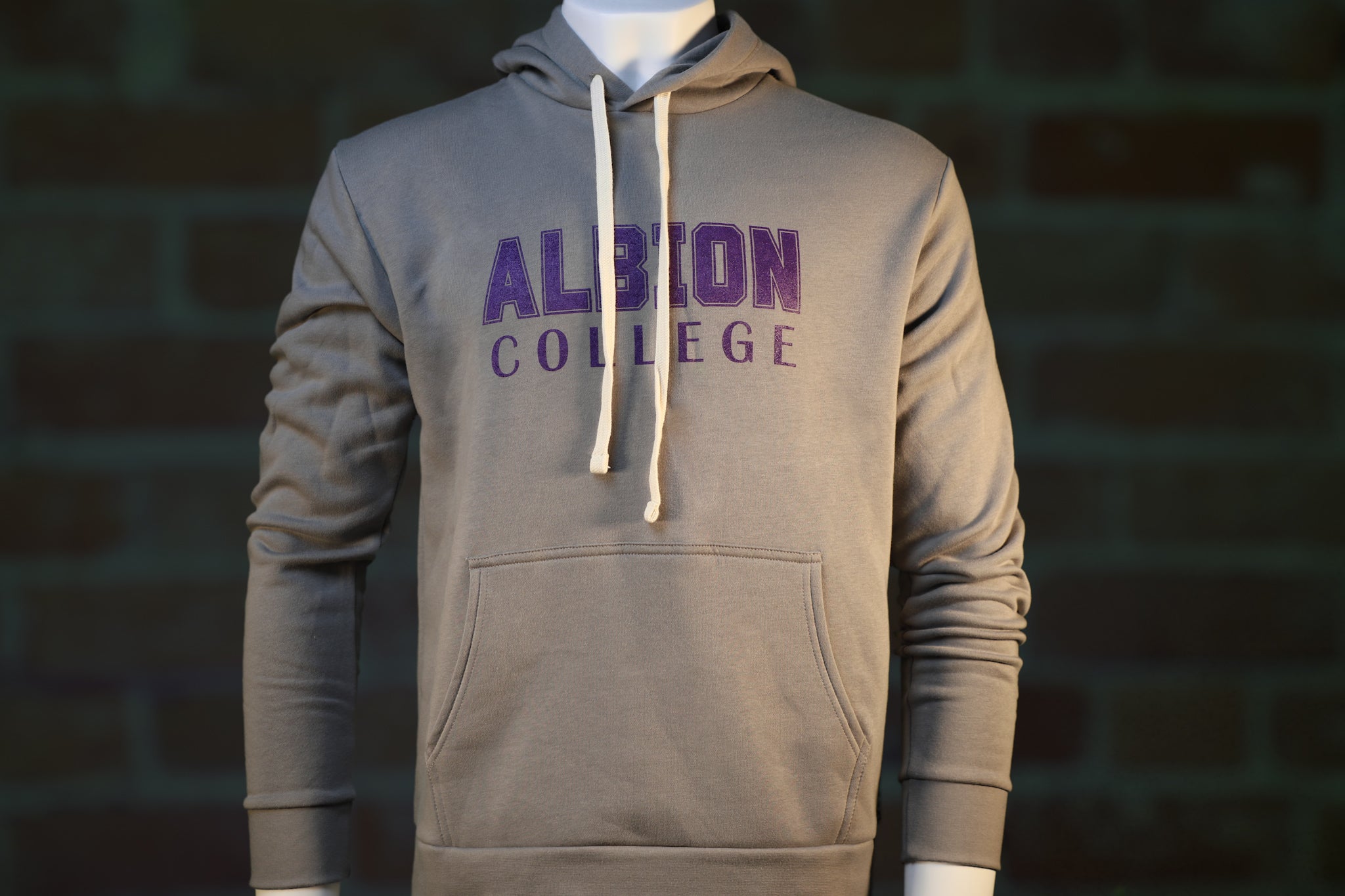 Classic Albion College Grey Hoodie