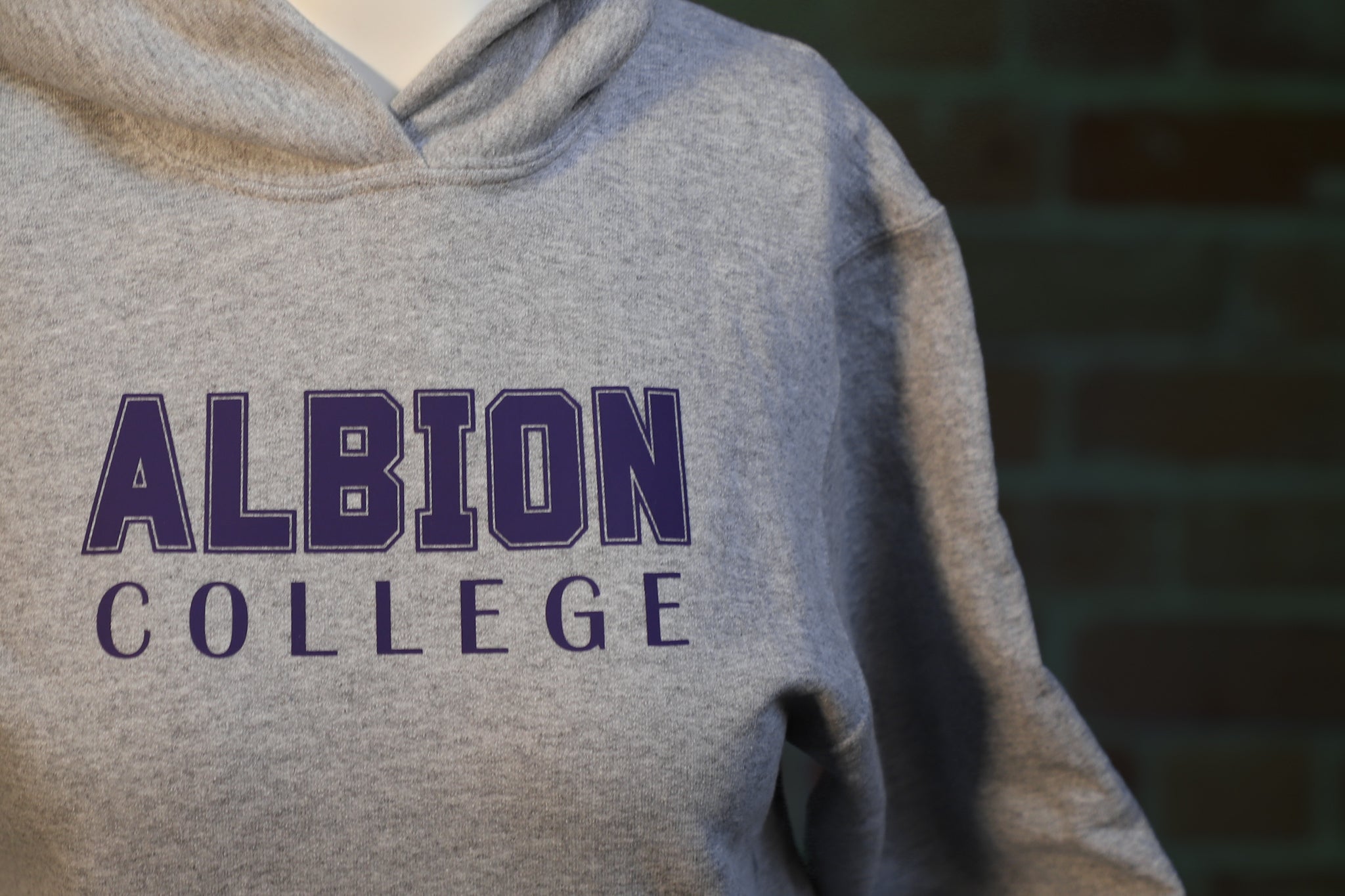 Youth Classic Albion College Grey Hoodie