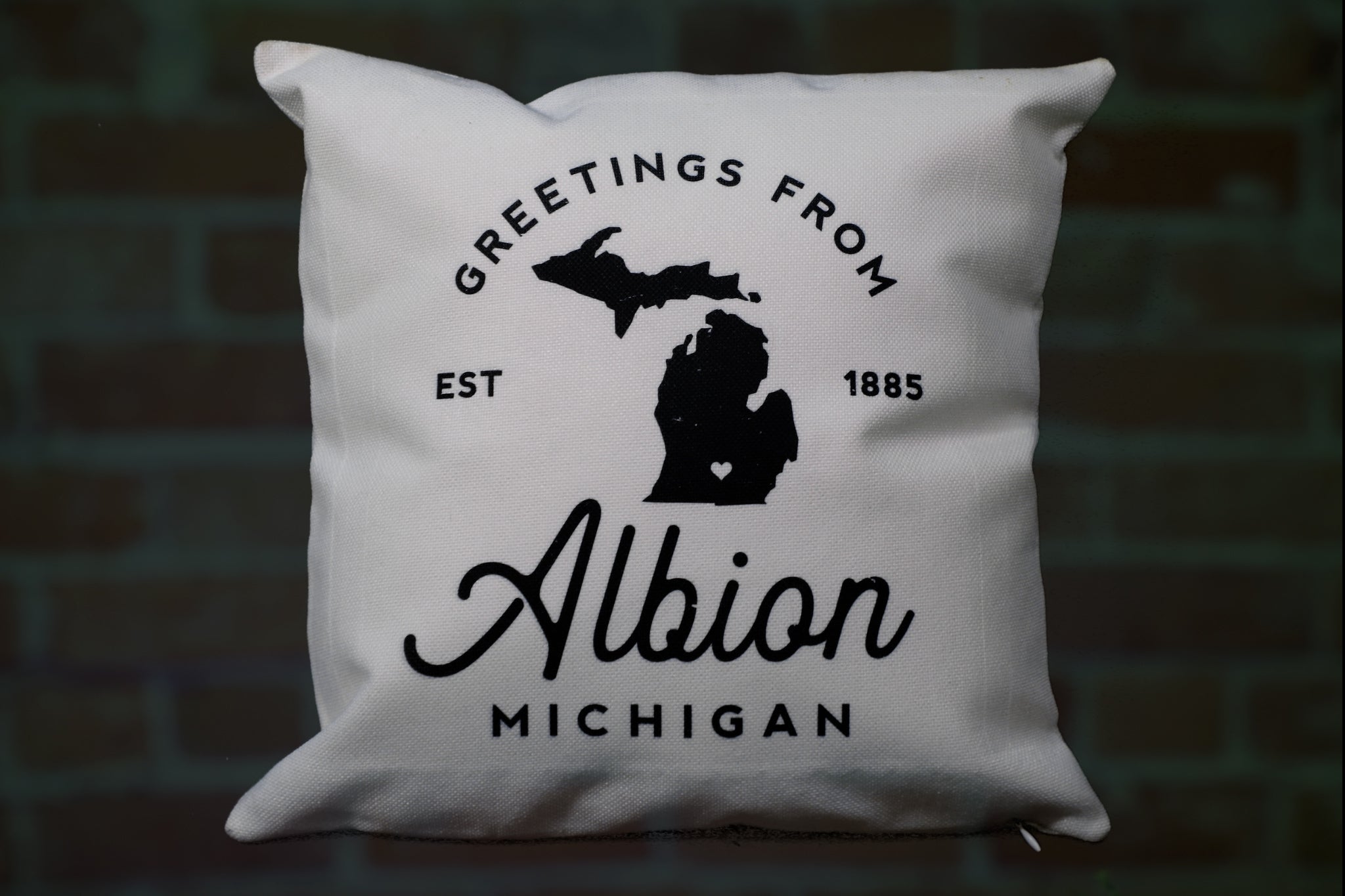 Albion MI Pillow