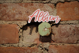 Albion Water Tower Sticker