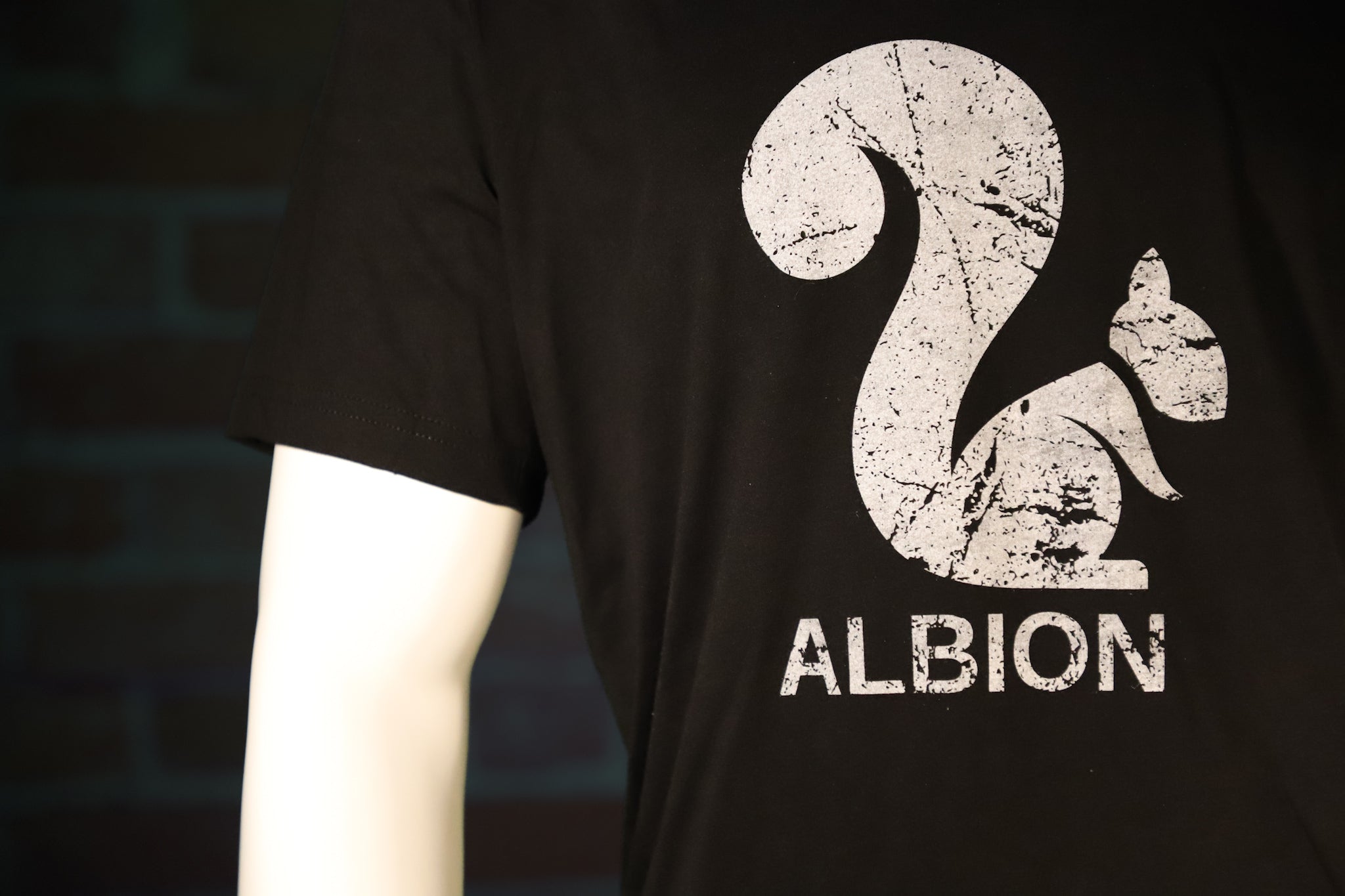 Albion Squirrel T-Shirt