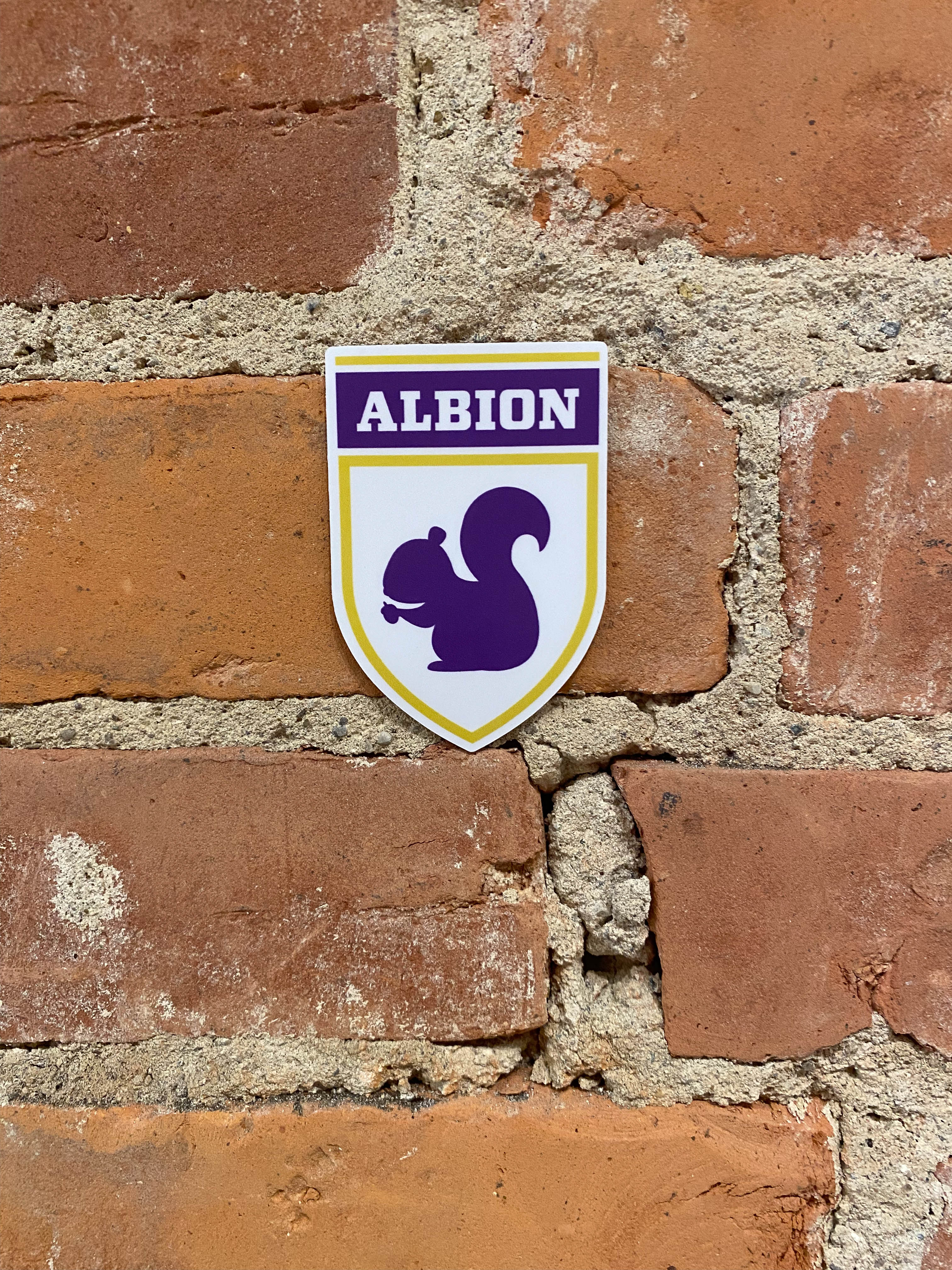 Albion Squirrel Sticker