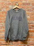 Albion College Crew Neck Sweatshirt