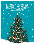 Holiday Tree - Merry Christmas from Albion - Boxed Christmas Cards